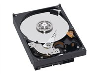WD Caviar Green WD10000CS - hårddisk - 1 TB - SATA-300 WD10000CSRTL2