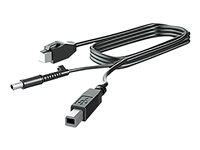 HP - DisplayPort-kabel - DisplayPort (hane) till DisplayPort (hane) - 3 m - för RP9 G1 Retail System 9015, 9018, 9118 V4P97AA