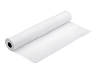 Epson - Blank - Rulle (43,2 cm x 30,5 m) - 250 g/m² - 1 rulle (rullar) fotopapper - för SureColor P5000, P800, SC-P10000, P20000, P5000, P7500, P900, P9500 C13S041892