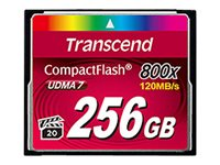 Transcend Premium - Flash-minneskort - 256 GB - 800x - CompactFlash TS256GCF800