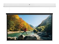 Da-Lite DescenderPro - Projektorduk - takmontering - motoriserad - 230 V - 133.07" (338 cm) - 4:3 - Matte White - matt vit, RAL 9016 10104742