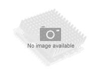 Intel Xeon Silver 4210R - 2.4 GHz - 10-kärnig - 13.75 MB cache - LGA3647 Socket - för ProLiant DL180 Gen10, DL180 Gen10 Base, DL180 Gen10 Entry, DL180 Gen10 SMB P21198-B21