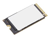 Lenovo - SSD - 1 TB - inbyggd - M.2 2242 - PCIe 4.0 x4 - för ThinkBook 14 G6 IRL 21KG; 16 G6 IRL 21KH; 16 G7 ARP 21MW; 16 G7 IML 21MS 4XB1P80585