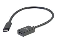 C2G 1ft USB-C to C 3.1 (Gen 1) Male to Female Extension Cable (5Gbps) - USB-förlängningskabel - USB-C (hane) till USB-C (hona) - USB 3.1 Gen 1 / Thunderbolt 3 - 3 A - 30 cm - formpressad - svart 88655