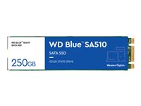 WD Blue SA510 WDS250G3B0B - SSD - 250 GB - inbyggd - M.2 2280 - SATA 6Gb/s - blå WDS250G3B0B
