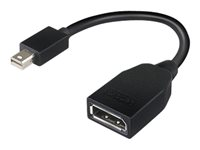 Lenovo - DisplayPort-adapter - Mini DisplayPort (hane) till DisplayPort (hona) - 17.6 cm - för ThinkCentre M70; M75t Gen 2; M80; M90; ThinkStation P330 Gen 2; P34X; P350; P520; P620 4X90L13971