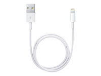 Apple - Lightning-kabel - Lightning hane till USB hane - 50 cm - för Apple iPad/iPhone/iPod (Lightning) ME291ZM/A
