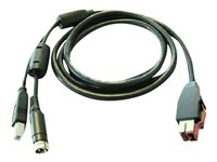 HP - USB-kabel med egen strömförsörjning - för Engage Thermal Receipt Printer; Engage One; RP9 G1 Retail System BM477AA