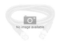 Cisco Active Optical Cable - Nätverkskabel - SFP28 till SFP28 - 4 m - fiberoptisk - för P/N: N3K-C34180YC=, N3K-C36180YC-R-RF, N9K-C93180YC-EX-24, N9K-C93180YC-FX-RF SFP-25G-AOC4M=