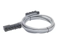 APC Data Distribution Cable - Nätverkskabel - TAA-kompatibel - RJ-45 (hona) till RJ-45 (hona) - 5.7 m - UTP - CAT 5e - stigare - grå DDCC5E-019