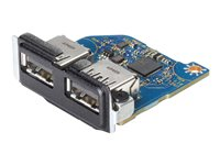 HP Flex IO V2 Card - 2 st. USB 3.1 Gen1-port - för EliteDesk 800 G6, 805 G6; ProDesk 400 G6 (mini desktop), 400 G7, 405 G6, 600 G6; Workstation Z1 G6 Entry 13L58AA