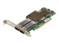 Broadcom NetXtreme E-Series P2100G - Nätverksadapter - PCIe 4.0 x16 låg profil - 100 Gigabit QSFP56 x 2 BCM957508-P2100G
