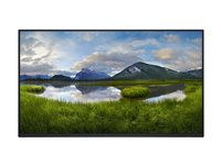 Dell P2425H - LED-skärm - Full HD (1080p) - 24" DELL-P2425HHF