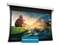 Da-Lite Tensioned DescenderPro - Projektorduk - takmontering - motoriserad - 230 V - 181.1" (460 cm) - 16:10 - HD Progressive 1.1 - RAL 9016 10106715