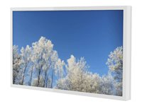 HI-ND Wall Casing EASY 55" Landscape - Monteringssats (hölje) - för LCD-display - metall - vit, RAL 9003 - skärmstorlek: 55" - väggmonterbar - för LG 55UH5F-H, 55UH7F-H; Samsung QB55B, QB55R-B, QH55B, QH55R, QM55B WC5500-0101-01