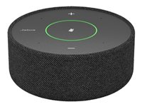 Jabra Panacast SpeakerMic - Högtalartelefon (handsfree) - kabelansluten - USB-C - för PanaCast 55 VBS 8900-100