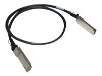 HPE - 100GBase direktkopplingskabel - QSFP28 till QSFP28 - 50 cm R8M59A