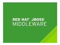 JBoss Data Grid - Standardabonnemang (1 år) - 16 kärnor MW0906233