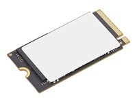 Lenovo - SSD - 512 GB - inbyggd - M.2 2242 - PCIe 4.0 x4 - för ThinkBook 14 G6 IRL 21KG; 16 G6 IRL 21KH 4XB1P80584