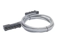 APC Data Distribution Cable - Nätverkskabel - TAA-kompatibel - RJ-45 (hona) till RJ-45 (hona) - 10.7 m - UTP - CAT 5e - grå DDCC5E-035