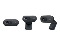 Logitech C505e - Webbkamera - färg - 720p - fast lins - ljud - USB 960-001372