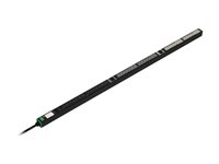 Schneider Easy Rack Basic - Kraftdistributionsenhet (kan monteras i rack) - vertikal - AC 200-240/346-415 V - 22 kW - 3-fas - ingång: IEC 60309 - utgångskontakter: 42 (30 st. IEC 60320 C13, 12 x IEC 60320 C19) - 0U - 2 m sladd SEP6157G