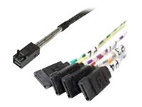 Intel - SATA/SAS-kabel - rak - 4-vägs - SATA (hona) till 4x mini-SAS HD (SFF-8643) (hane) - 45 cm - rak kontakt AXXCBL450HD7S