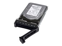 Dell - Hårddisk - krypterat - 2.4 TB - hot-swap - 2.5" - SAS 12Gb/s - 10000 rpm - FIPS - Self-Encrypting Drive (SED) - för PowerEdge C6420 (2.5") 400-AVHG