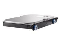 HP - Hårddisk - 1 TB - SATA 6Gb/s - 7200 rpm - för HP 280, Z1 G8, Z1 G9; Desktop Pro 300 G6; Elite 600 G9; EliteDesk 80X G8; Pro 400 G9 QK555AA