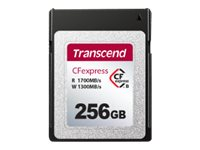 Transcend CFexpress 820 - Flash-minneskort - 256 GB - CFexpress, typ B TS256GCFE820