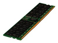 HPE SmartMemory - DDR5 - modul - 64 GB - DIMM 288-pin - 4800 MHz / PC5-38400 - CL40 - registrerad - för ProLiant DL325 Gen11, DL345 Gen11, DL385 Gen11 P50312-B21