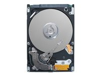 Dell - Kundsats - hårddisk - krypterat - 2.4 TB - hot-swap - 2.5" - SAS 12Gb/s - 10000 rpm - FIPS 140-2 - Self-Encrypting Drive (SED) - för PowerEdge T430 (2.5") 400-AVBO