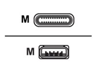 Huddly - USB-kabel - USB typ A (hane) till 24 pin USB-C (hane) - USB 3.0 - 1.15 m 7090043790351