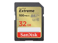 SanDisk Extreme - Flash-minneskort - 32 GB - Video Class V30 / UHS-I U3 / Class10 - SDHC UHS-I SDSDXVT-032G-GNCIN