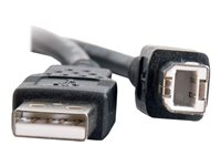 C2G 3.3ft USB A to USB B Cable - USB A to B Cable - USB 2.0 - Black - M/M - USB-kabel - USB (hane) till USB typ B (hane) - USB 2.0 - 1 m - svart 28101