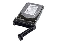 Dell - Kundsats - hårddisk - 1 TB - hot-swap - 2.5" (i 3,5-tums hållare) - SATA 6Gb/s - 7200 rpm - för PowerEdge T330 (3.5") 400-AKXQ
