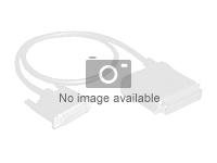 Cisco - RAID-kabel - för P/N: UCSC-C220-M7S, UCSC-C220-M7S-NEW, UCSC-RAID-HP=, UCSC-RAID-T-D= CBL-SCAP-C220-D=