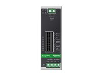 APC BVS480XDPDR - Strömadapter (kan monteras på DIN-skena) - DC 24 V - 480 Watt - grå BVS480XDPDR